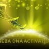 Seba 12 Sarmallı DNA Aktivasyonu Master