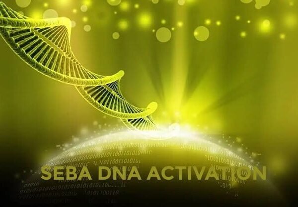Seba 12 Sarmallı DNA Aktivasyonu 1