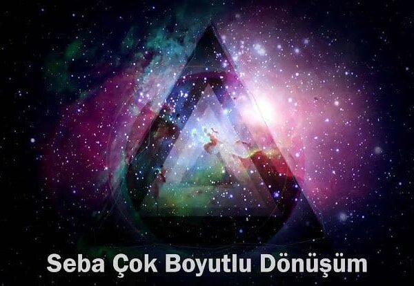 Seba Çok Boyutlu Dönüşüm