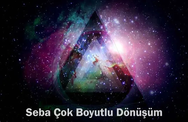 Seba Çok Boyutlu Dönüşüm
