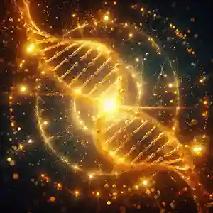 Seba DNA Aktivasyonları
