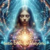 Seba 24 Sarmallı DNA Aktivasyonu Master