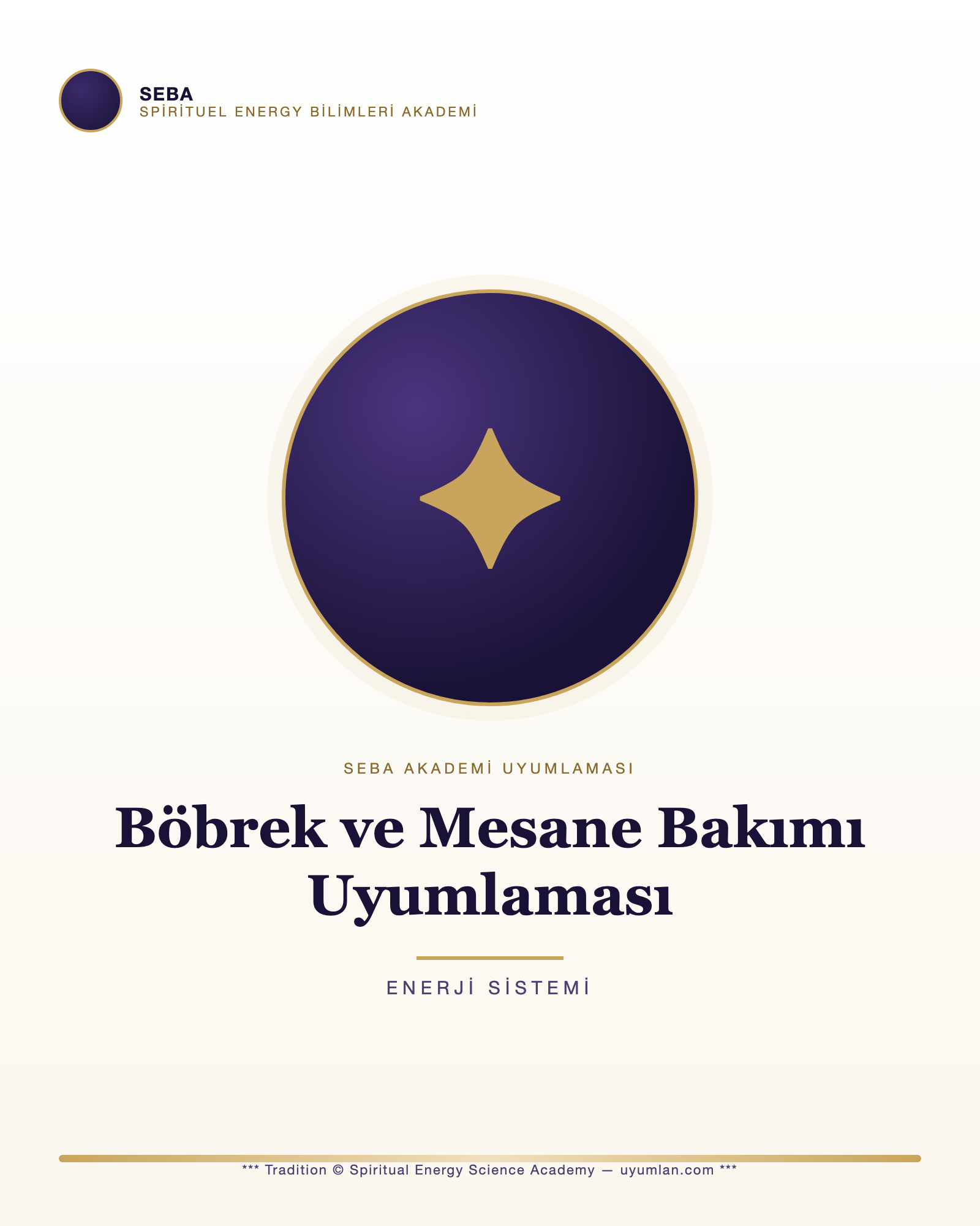 Böbrek ve Mesane Bakımı Uyumlaması