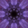 Lightarian Işınları Master