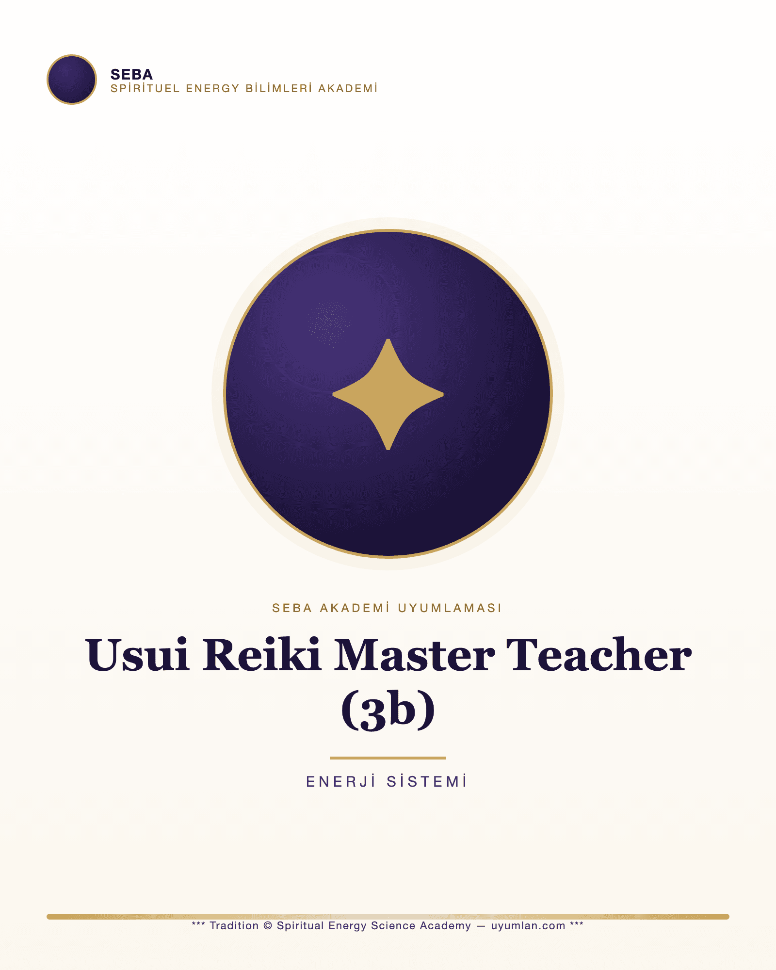 Usui Reiki Master Teacher (3b)